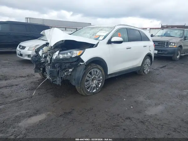 5XYPG4A33GG182503 2016 KIA SORENTO - Image 2
