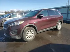 5XYPG4A33HG202069 2017 KIA SORENTO