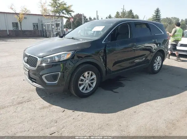 5XYPG4A33HG206087 2017 KIA SORENTO - Image 2