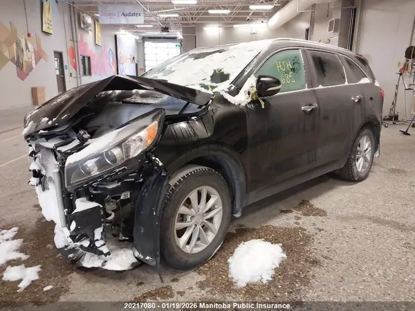 5XYPG4A33HG213363 2017 KIA SORENTO - Image 2