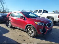 5XYPG4A33HG214030 2017 KIA SORENTO