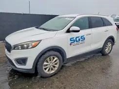 5XYPG4A33HG239154 2017 KIA SORENTO