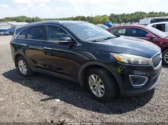 5XYPG4A33HG241552 2017 KIA SORENTO