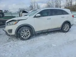 5XYPG4A33HG242619 2017 KIA SORENTO
