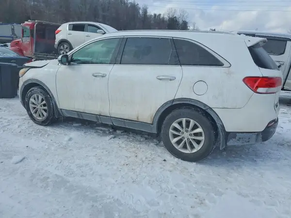 5XYPG4A33HG242619 2017 KIA SORENTO - Image 2