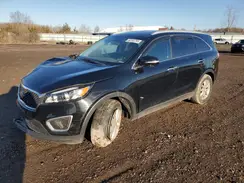5XYPG4A33HG246394 2017 KIA SORENTO