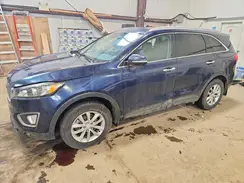 5XYPG4A33HG255807 2017 KIA SORENTO