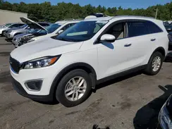 5XYPG4A33HG257847 2017 KIA SORENTO
