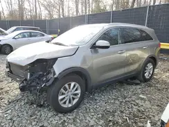 5XYPG4A33HG266080 2017 KIA SORENTO