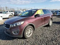 5XYPG4A33HG293666 2017 KIA SORENTO