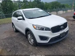 5XYPG4A33HG296034 2017 KIA SORENTO