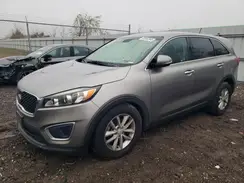 5XYPG4A33HG299564 2017 KIA SORENTO