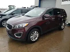5XYPG4A33HG323555 2017 KIA SORENTO