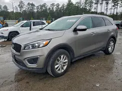 5XYPG4A33HG323846 2017 KIA SORENTO