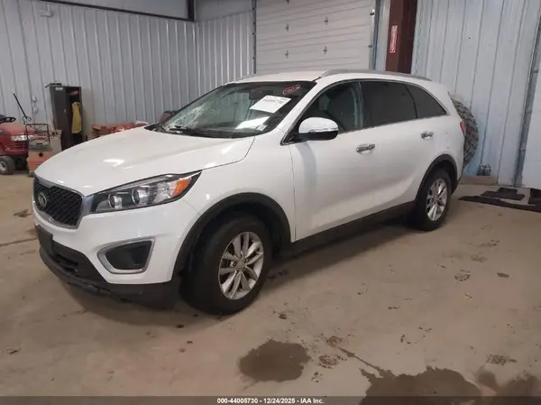 5XYPG4A33HG325872 2017 KIA SORENTO - Image 2