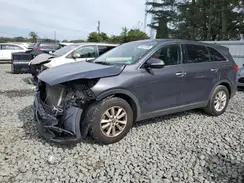 5XYPG4A33KG516344 2019 KIA SORENTO