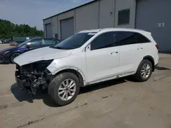 5XYPG4A33KG538067 2019 KIA SORENTO