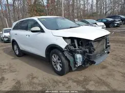 5XYPG4A33LG644231 2020 KIA SORENTO