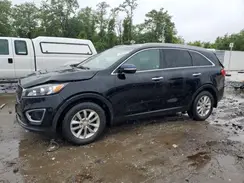 5XYPG4A34GG006978 2016 KIA SORENTO