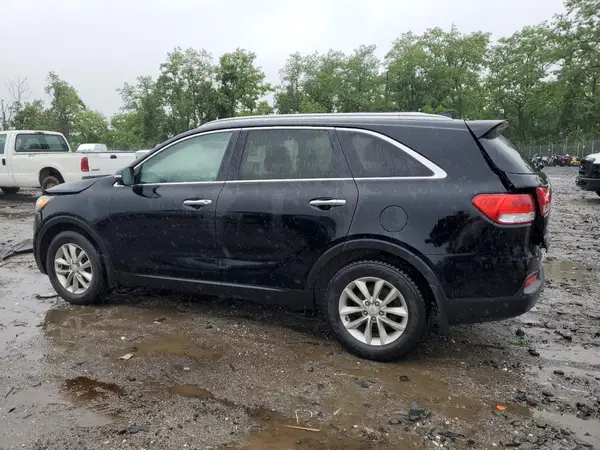 5XYPG4A34GG006978 2016 KIA SORENTO - Image 2