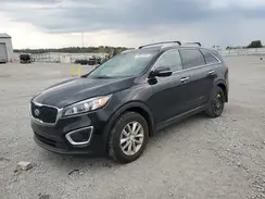 5XYPG4A34GG092969 2016 KIA SORENTO