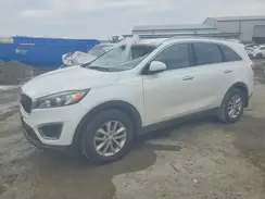 5XYPG4A34GG116557 2016 KIA SORENTO
