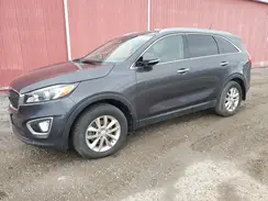 5XYPG4A34GG161983 2016 KIA SORENTO