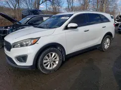 5XYPG4A34HG204512 2017 KIA SORENTO