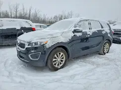5XYPG4A34HG241561 2017 KIA SORENTO