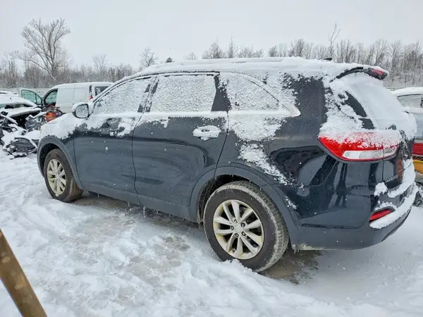 5XYPG4A34HG241561 2017 KIA SORENTO - Image 2
