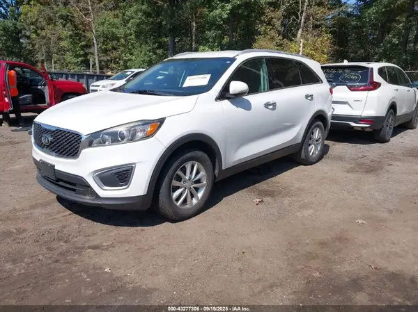 5XYPG4A34HG250213 2017 KIA SORENTO - Image 2
