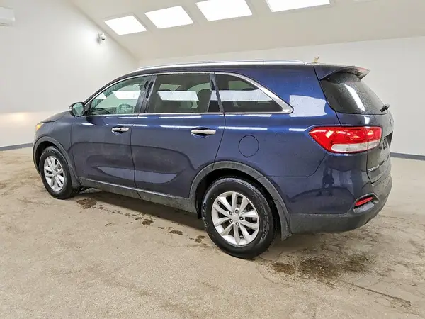 5XYPG4A34HG262751 2017 KIA SORENTO - Image 2