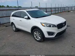 5XYPG4A34HG267545 2017 KIA SORENTO