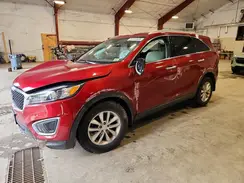 5XYPG4A34HG283700 2017 KIA SORENTO