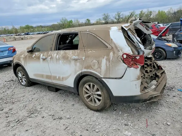 5XYPG4A34KG520628 2019 KIA SORENTO - Image 2