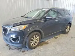 5XYPG4A35GG034594 2016 KIA SORENTO