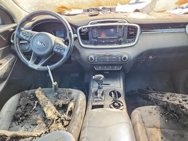 5XYPG4A35GG061360 2016 KIA SORENTO - Image 8