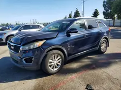5XYPG4A35GG064923 2016 KIA SORENTO