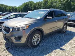 5XYPG4A35GG076814 2016 KIA SORENTO