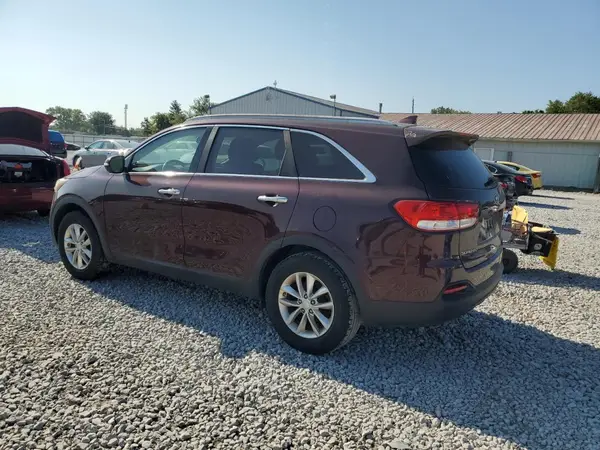 5XYPG4A35GG126210 2016 KIA SORENTO - Image 2
