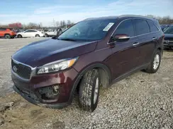 5XYPG4A35GG178677 2016 KIA SORENTO