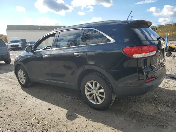 5XYPG4A35HG203496 2017 KIA SORENTO - Image 2