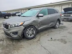 5XYPG4A35HG216975 2017 KIA SORENTO