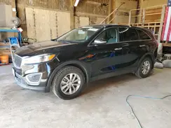 5XYPG4A35HG246400 2017 KIA SORENTO