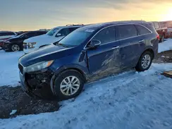 5XYPG4A35HG290848 2017 KIA SORENTO