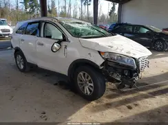 5XYPG4A35LG650239 2020 KIA SORENTO