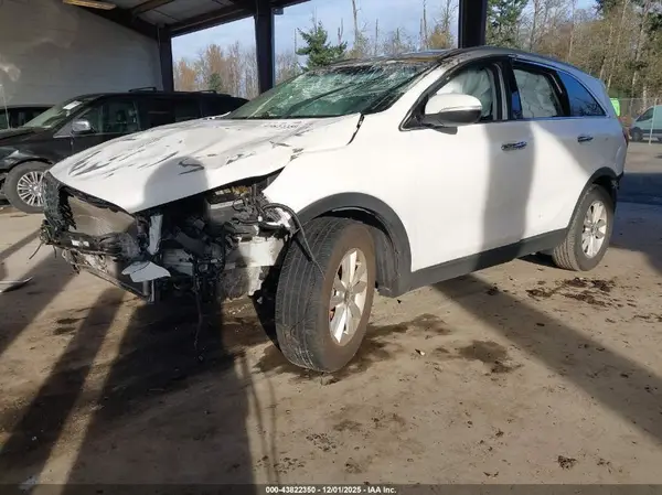 5XYPG4A35LG650239 2020 KIA SORENTO - Image 2