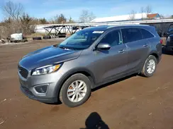 5XYPG4A36GG005217 2016 KIA SORENTO