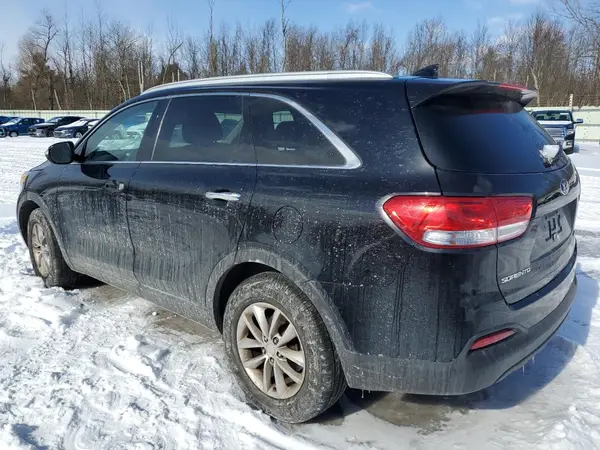5XYPG4A36GG014466 2016 KIA SORENTO - Image 2