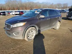 5XYPG4A36GG081214 2016 KIA SORENTO